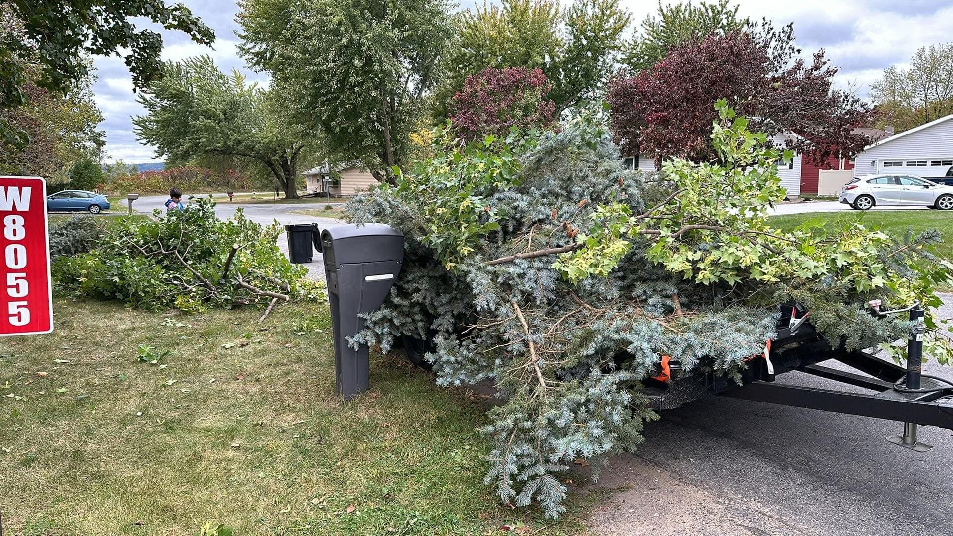 Cut tree limbs collected beside a trailer for removal