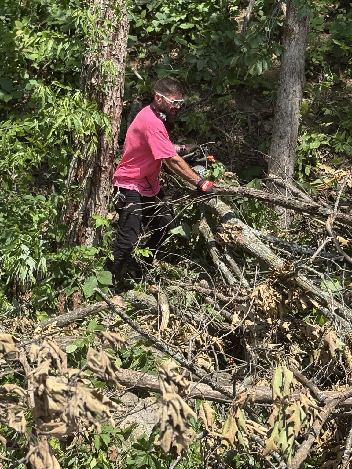 Grizz cutting fallen tree limbs during a wooded property cleanup